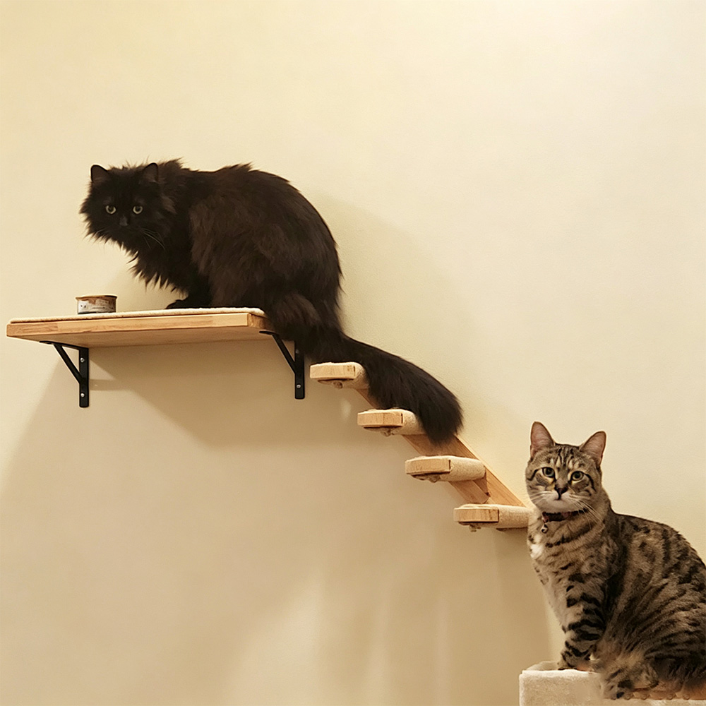 Furnitur Kucing: Jembatan Gant - Furniture Paradise & Hardware Ghaziabad Photos ulasan dan harga